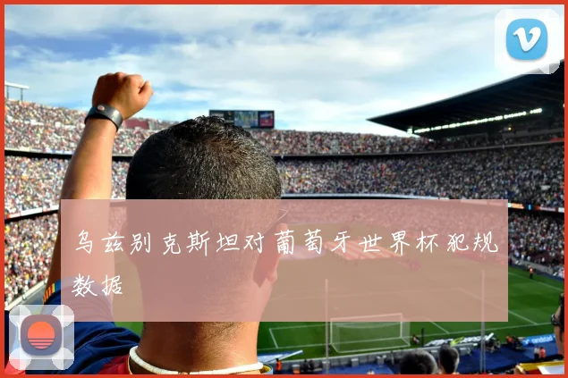 乌兹别克斯坦对葡萄牙世界杯犯规数据