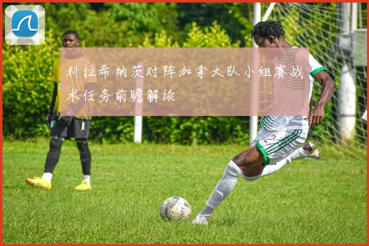 科拉希纳茨对阵加拿大队小组赛战术任务前瞻解读